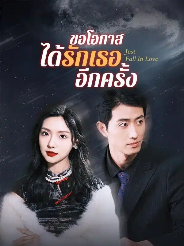 ขอโอกาสได้รักเธออีกครั้ง พากย์ไทย
