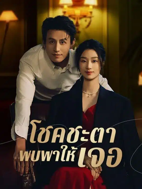 โชคชะตาพบพาให้เจอ (พากย์ไทย)