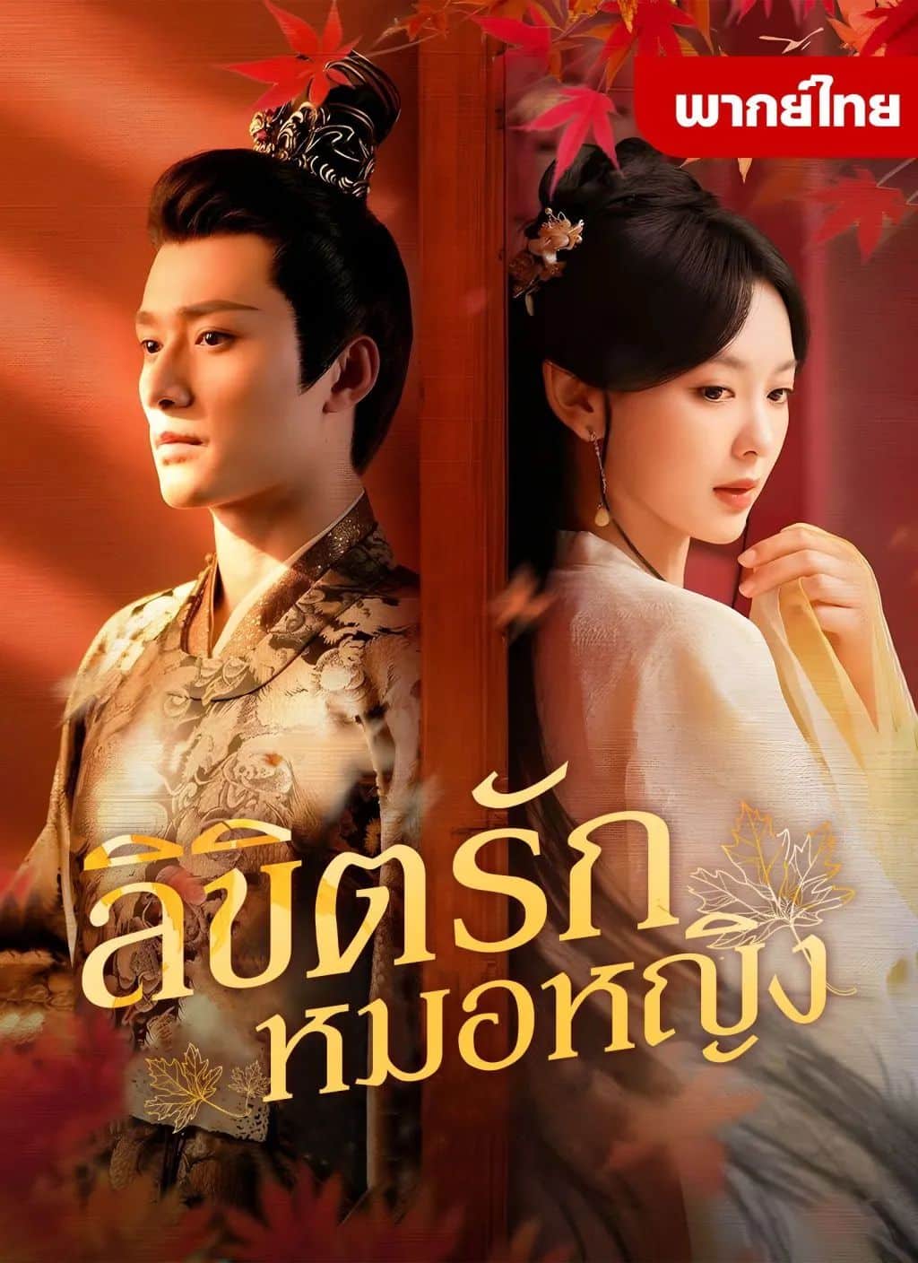 ลิขิตรักหมอหญิง (พากย์ไทย)