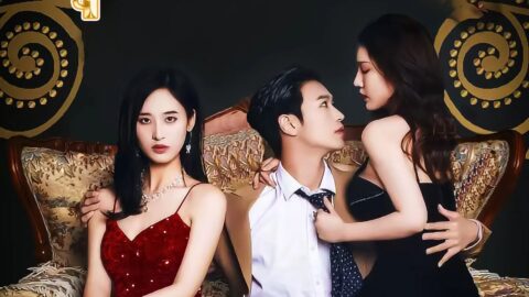 แผนรักเอาคืนคุณนายเซิ่ง