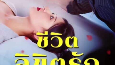 ชีวิตลิขิตรัก (พากย์ไทย)