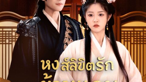 หงส์ลิขิตรักข้ามแดน (พากย์ไทย)