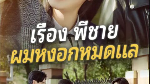 เรื่องพี่ชายผมหงอกหมดแล (พากย์ไทย)