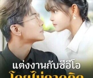 แต่งงานกับซีอีโอโดยไม่คาดคิด (พากย์ไทย)