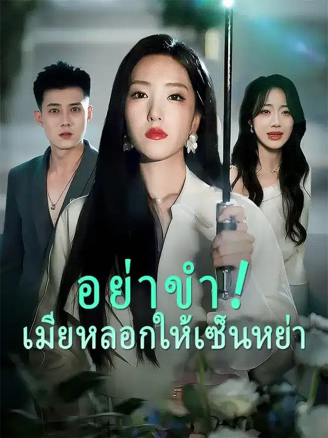 อย่าขำเมียหลอกให้เซ็นหย่า (พากย์ไทย)