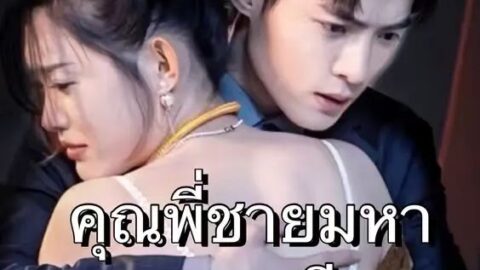 คุณพี่ชายมหาเศรษฐี (พากย์ไทย)