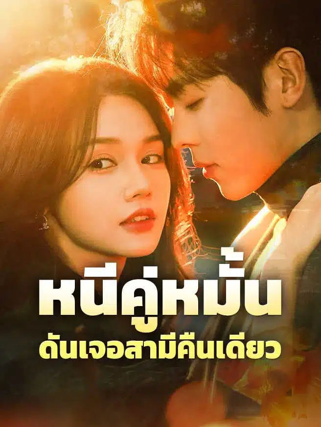 หนีคู่หมั้นดันเจอสามีคืนเดียว (ซับไทย)