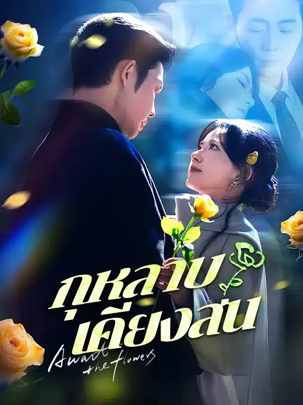 กุหลาบเคียงสน (ซับไทย)