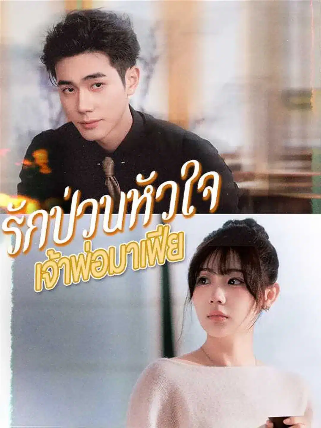 รักป่วนหัวใจเจ้าพ่อมาเฟีย (พากย์ไทย)