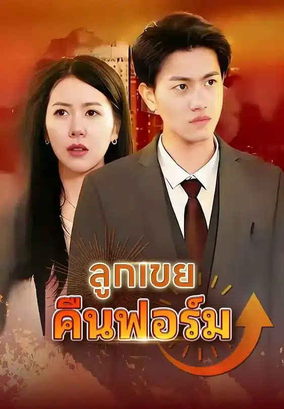 ลูกเขยคืนฟอร์ม (พากย์ไทย)