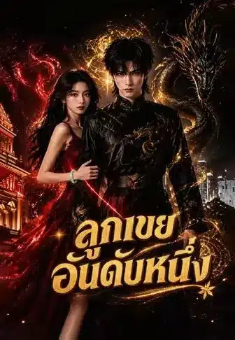 ลูกเขยอันดับหนึ่ง (พากย์ไทย)